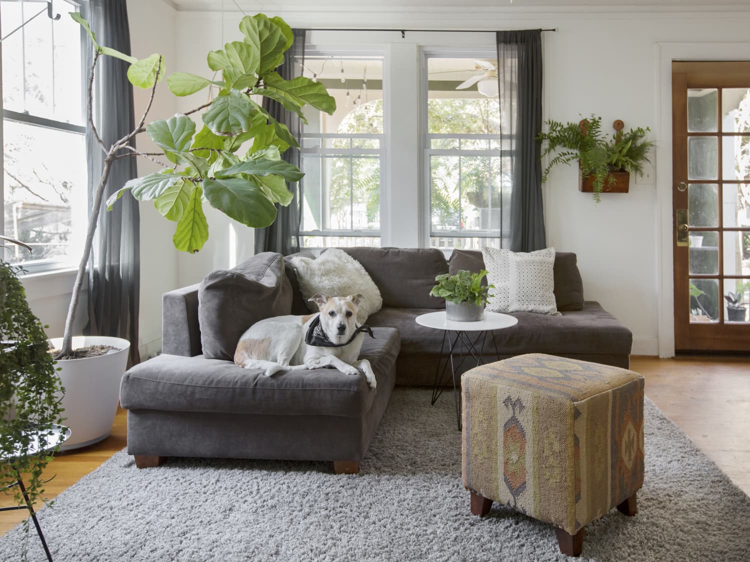 Porch and den sabrina velvet chair deals
